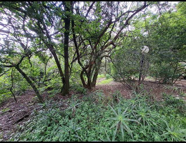 1,526M² VACANT LAND FOR SALE IN BRYANSTON EAST